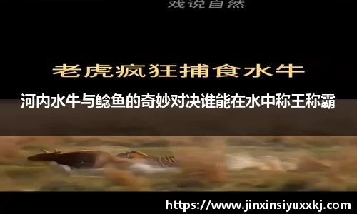 168足球